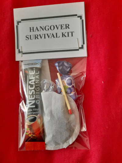 Festival Hangover kit