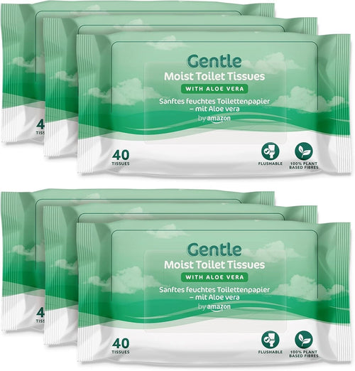 Moist Toilet Wipes, a festival must! 240 sheets!